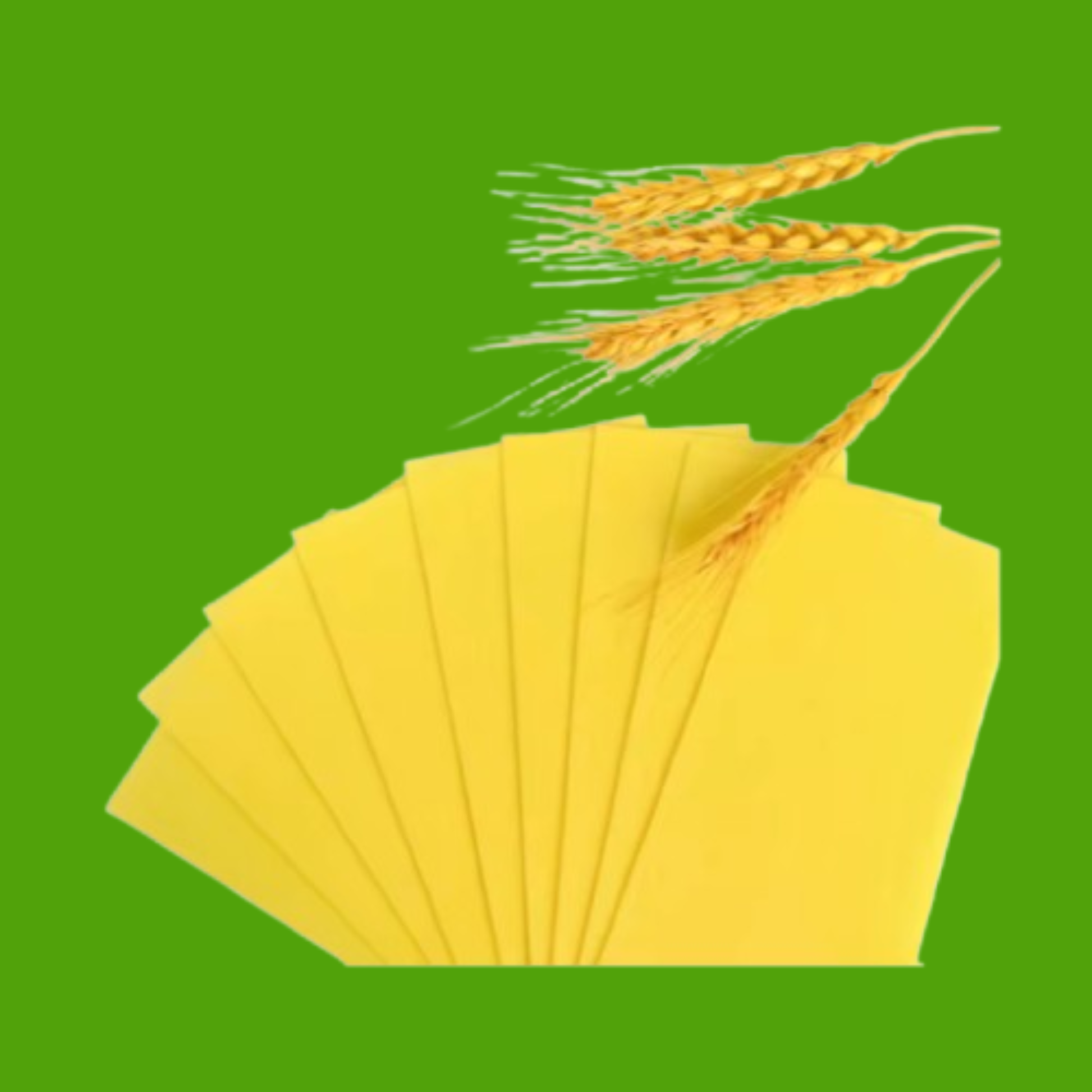 Non Woven Strip